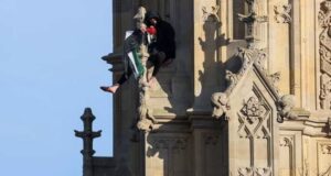IMG 7384