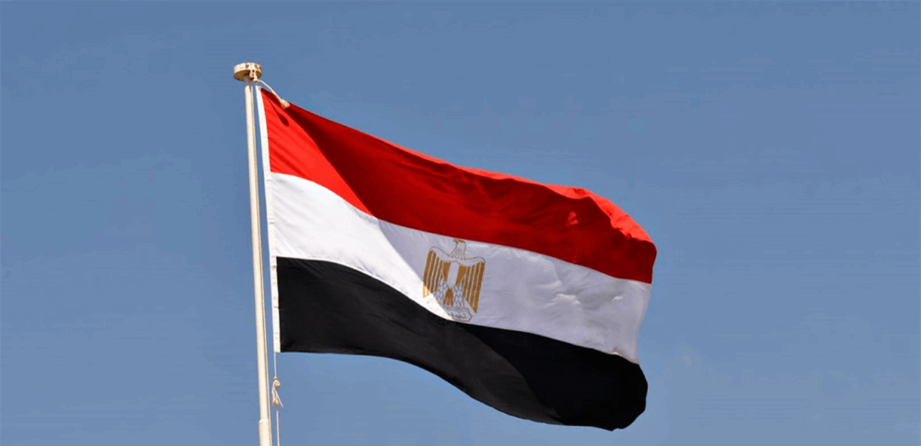 مصر تحسم الجدل بشأن مزاعم تسليح إسرائيل 1 IMG 7957