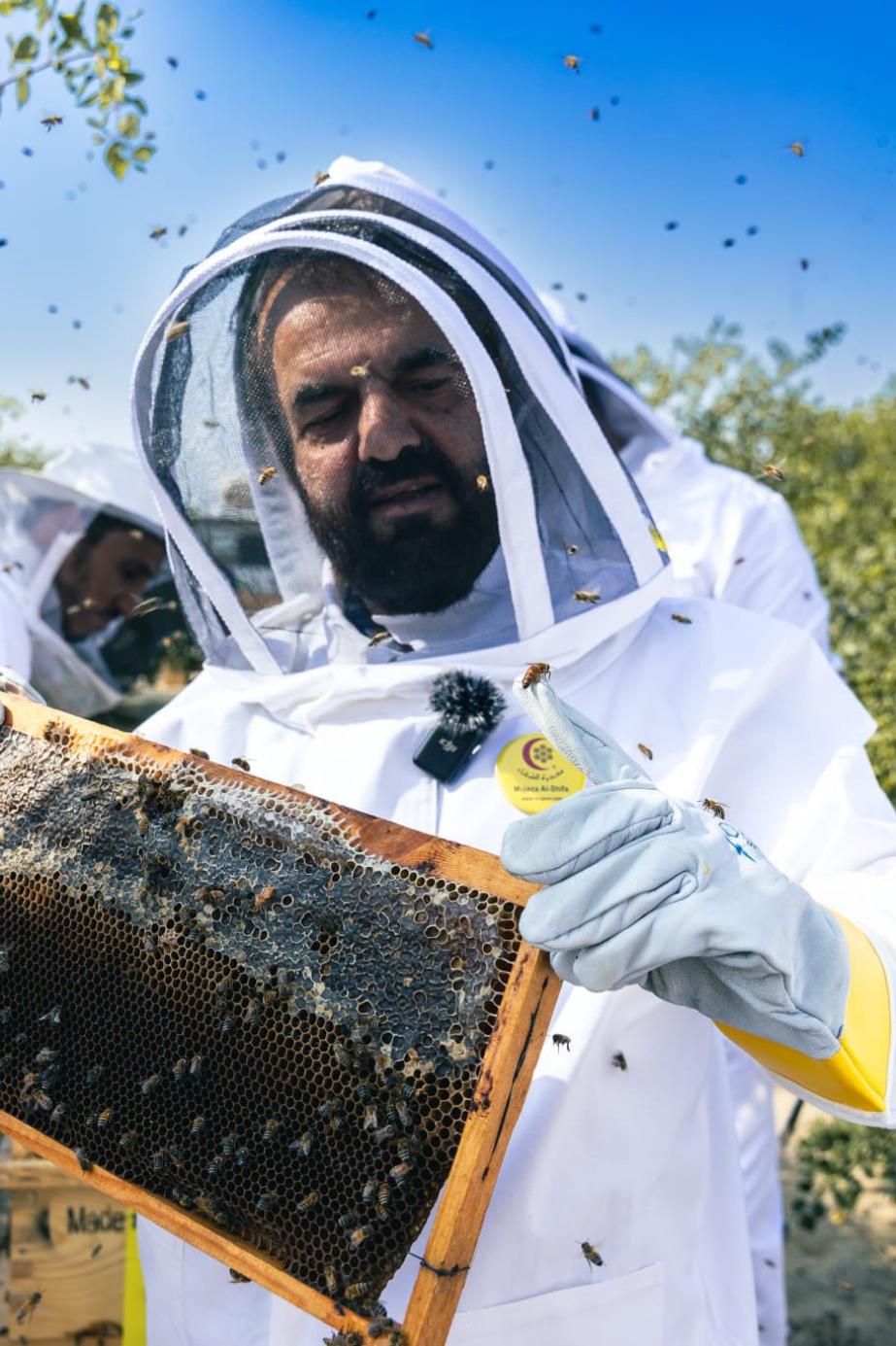 e41865dc 94c0 454b 86b6 8da8d0270e5c